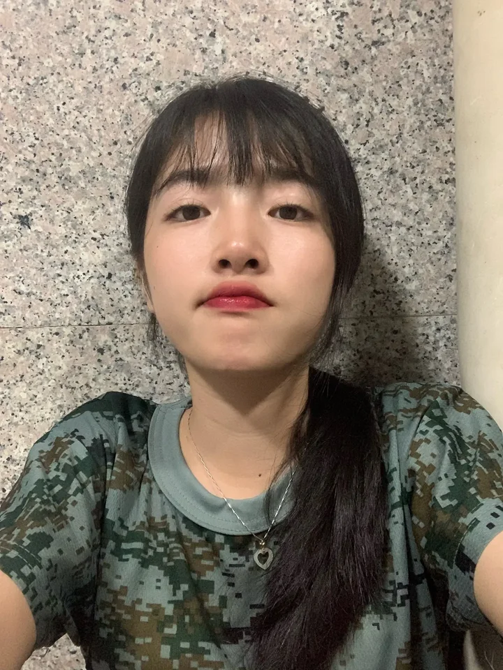 2020各大卫视春晚